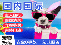 杭州萧山机场托运国际宠物托运 【国
